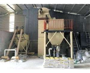 干粉砂漿攪拌設(shè)備價(jià)格誠信企業(yè)推薦 安丘雪景機(jī)械